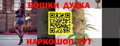 прущие крисы Бийск
