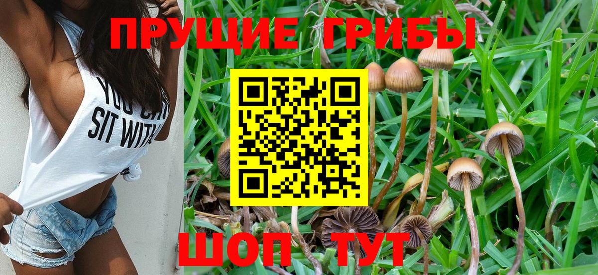 где можно купить   Галлюциногенные грибы мухоморы  Будённовск  Вход с VPN  Галлюциногенные грибы ЛСД 