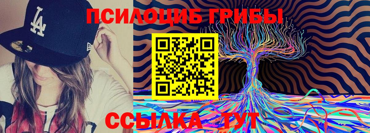 Галлюциногенные грибы MAGIC MUSHROOMS  Будённовск  где найти наркотики  Псилоцибиновые грибы GOLDEN TEACHER 