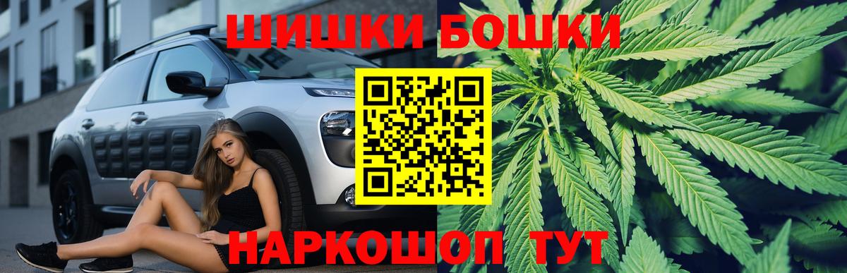 Марихуана планчик Будённовск